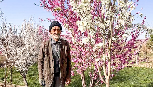 صفای با هم بودن خانواده ۱۵ نفری محسنی صفای با هم بودن خانواده ۱۵ نفری محسنی