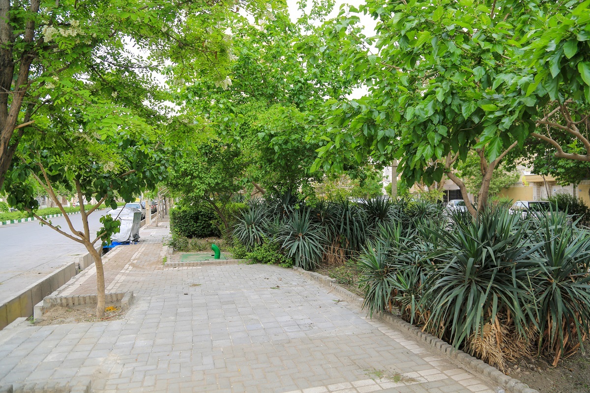 کوچه پشت زندان کوچه پشت زندان