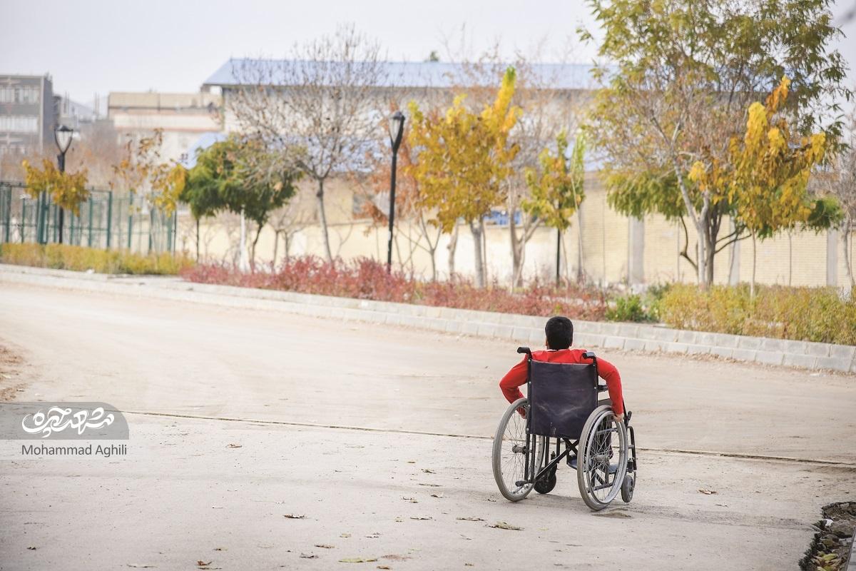دنیای پرمهر محمدرضا دنیای پرمهر محمدرضا