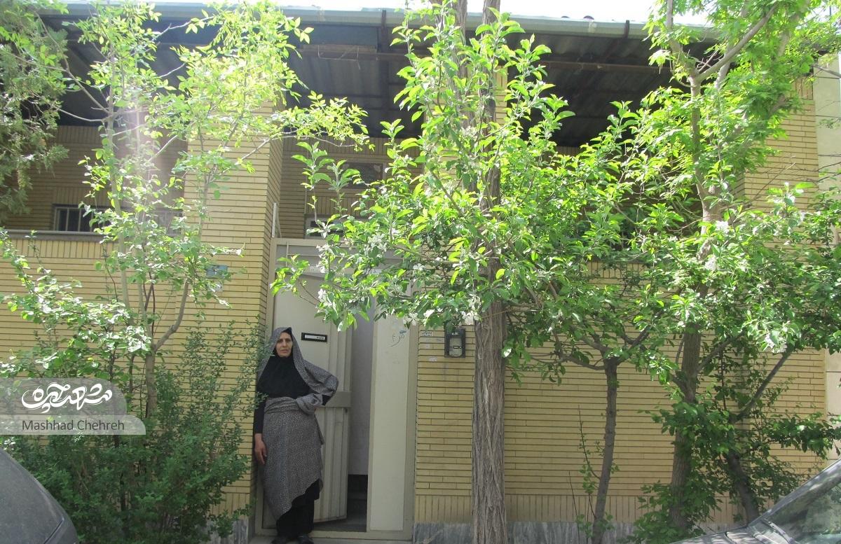 درخت و گلدانهای خانه شایسته خانم با مهربانی او جان گرفتهاند درخت و گلدانهای خانه شایسته خانم با مهربانی او جان گرفتهاند