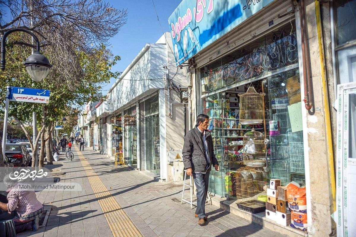 کوچ پرندگان از میدان شهدا کوچ پرندگان از میدان شهدا