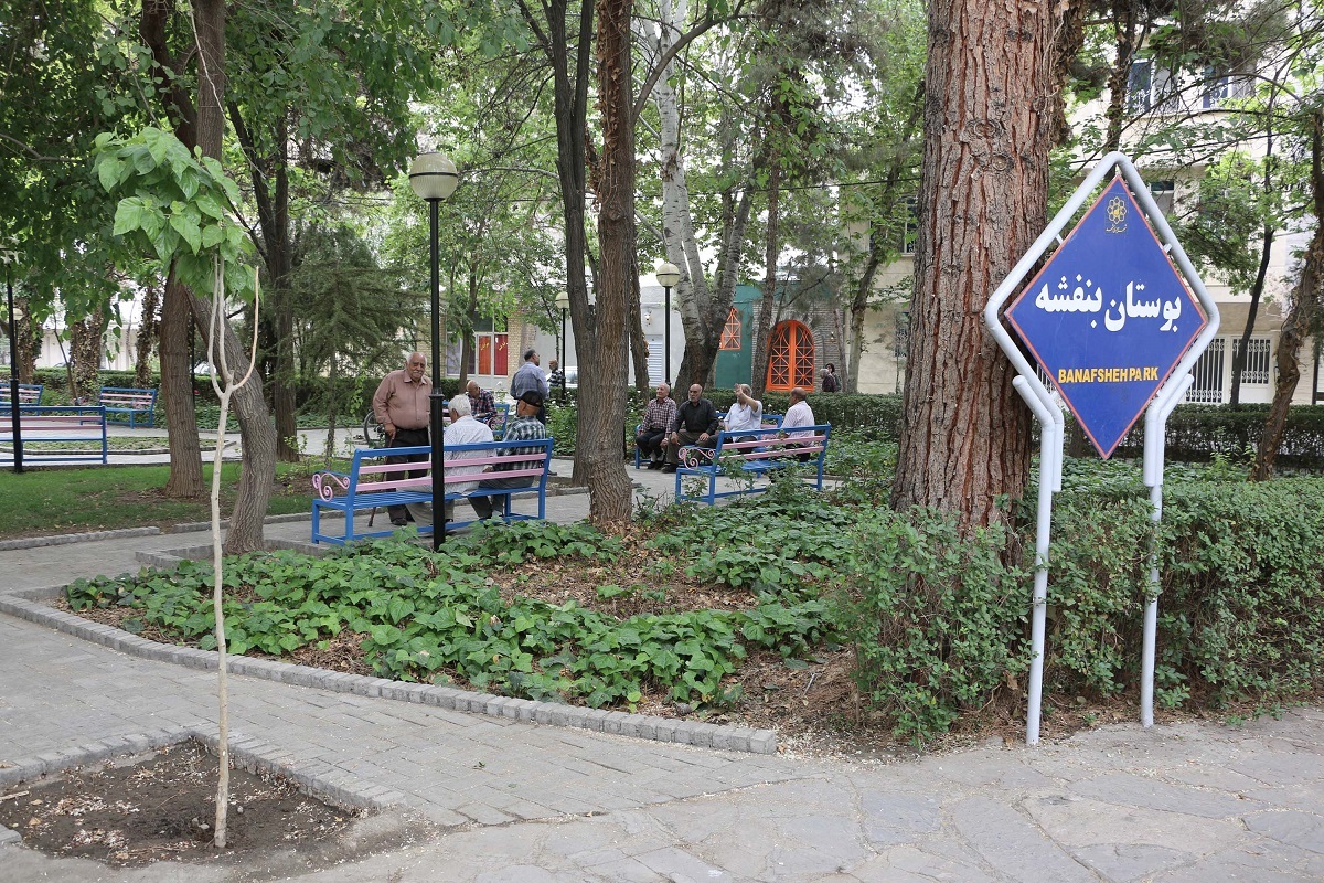 از آپارتماننشینی تا حیاطهای ۴۰ ساله از آپارتماننشینی تا حیاطهای ۴۰ ساله