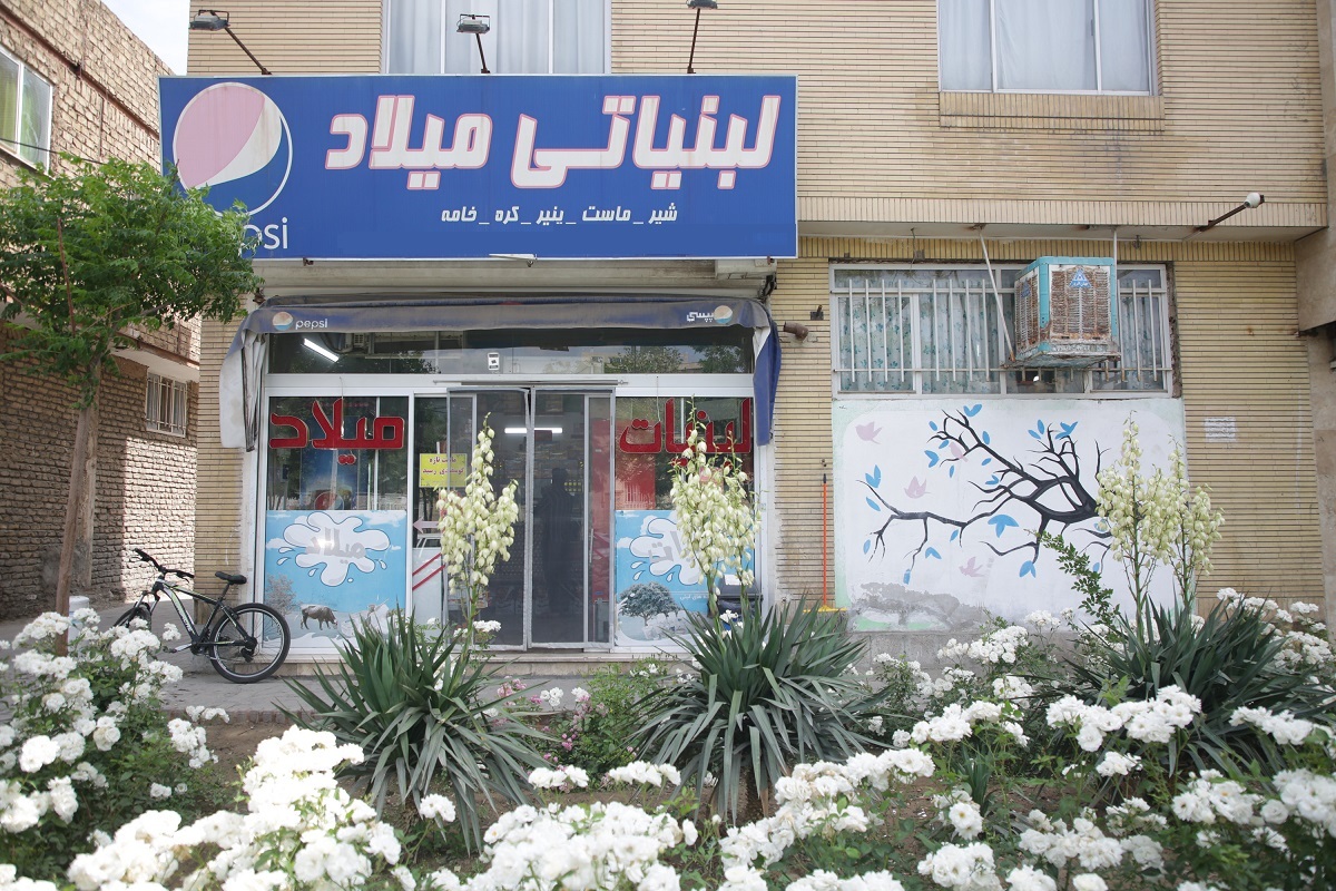 کوچه حسین شیری