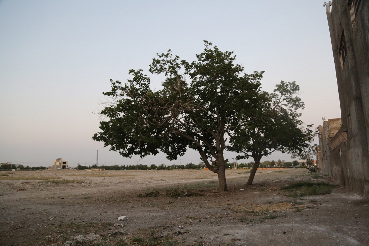 کوچه شهید مدافع حرم کوچه شهید مدافع حرم