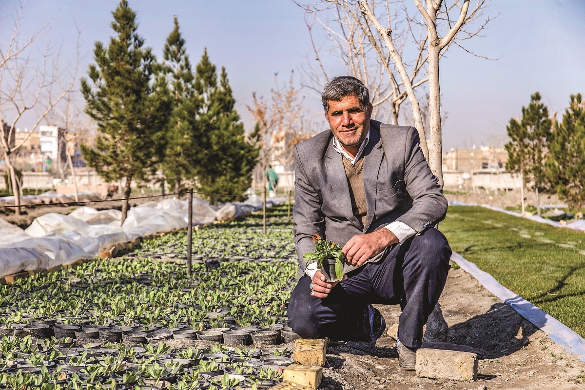 رفیق قدیمی درختان