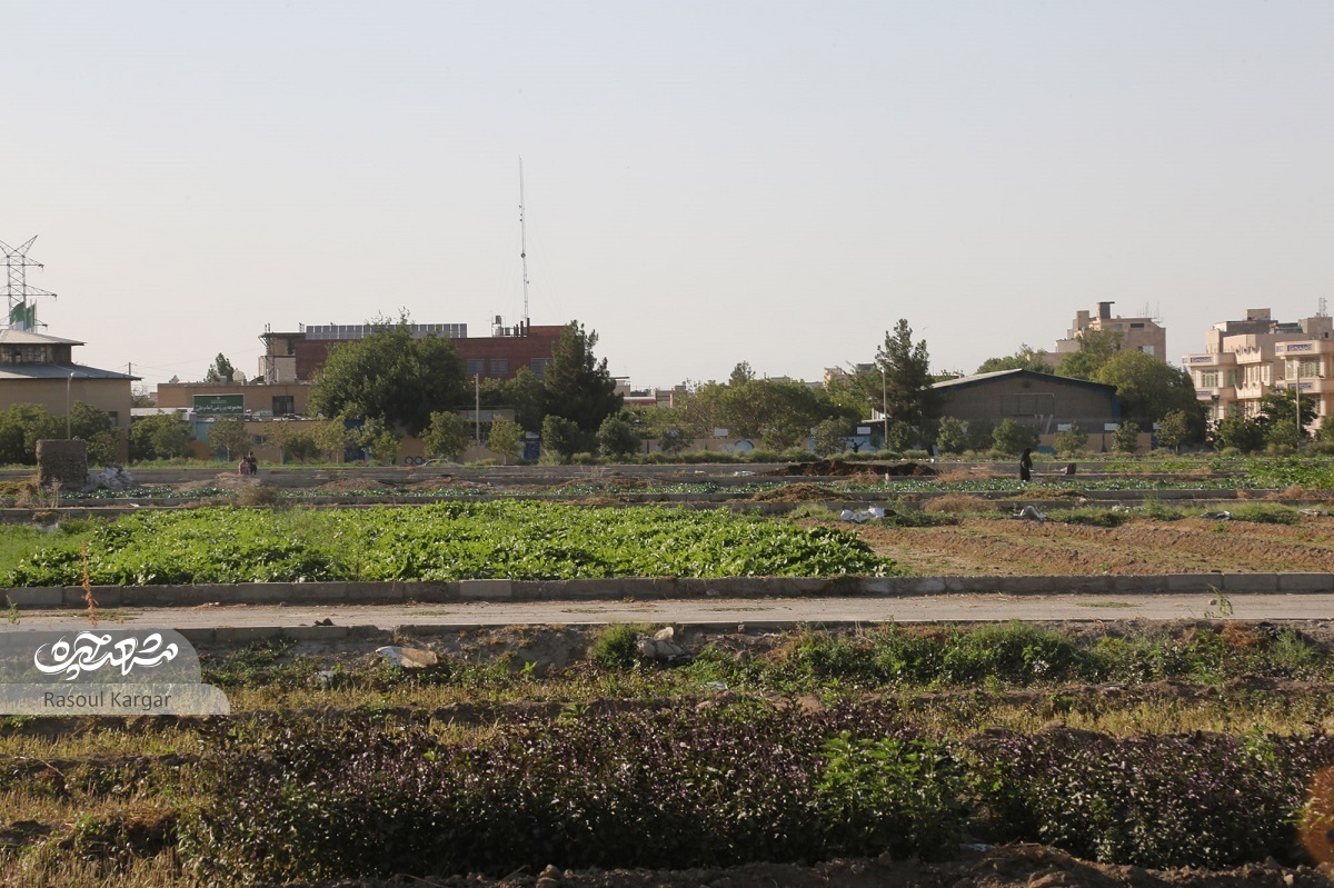 بولوار منتهی به زمینهای کشاورزی در محله پنجتن بولوار منتهی به زمینهای کشاورزی در محله پنجتن