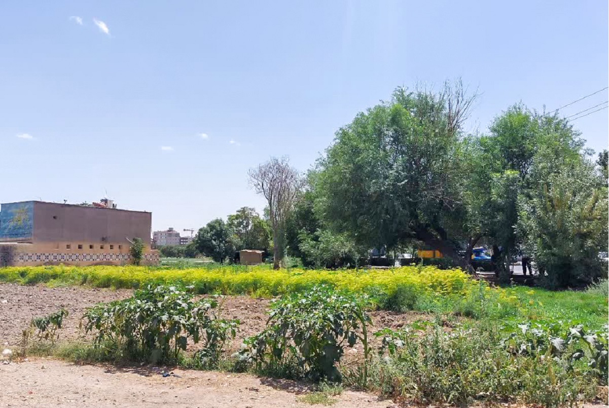 کوچه مجتمع خدمات خودرویی در محله حسینآباد کوچه مجتمع خدمات خودرویی در محله حسینآباد