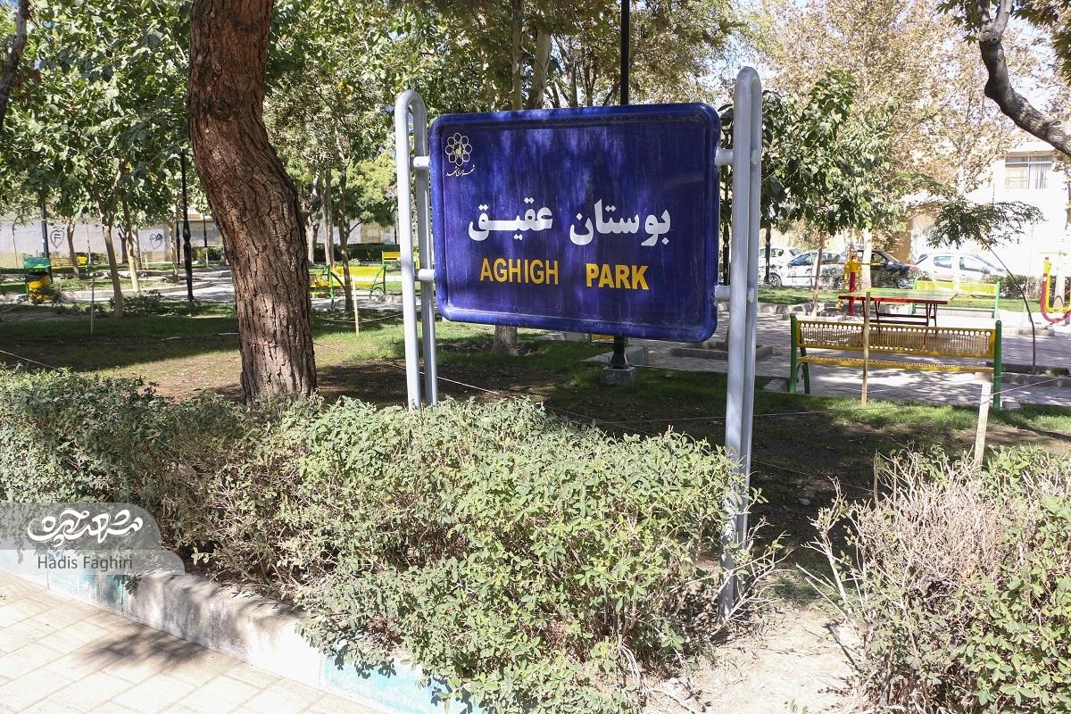 کوچه سرسبز آموزش در دانشآموز کوچه سرسبز آموزش در دانشآموز