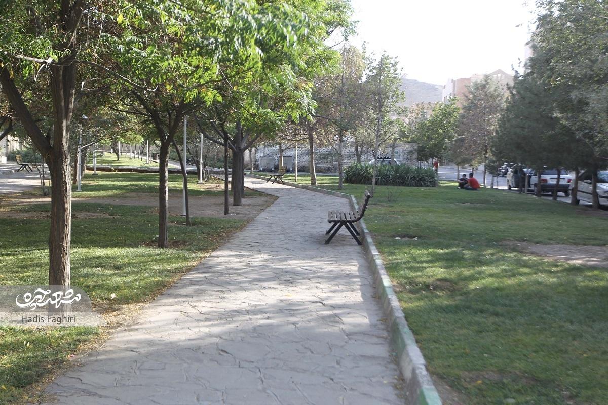 سبزترین معبر رضاشهر در پیروزی ۱۴