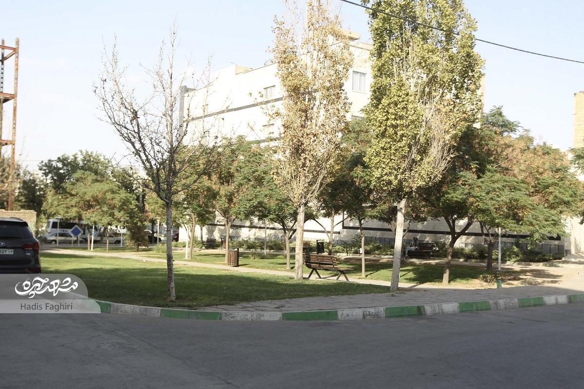 سبزترین معبر رضاشهر در پیروزی ۱۴