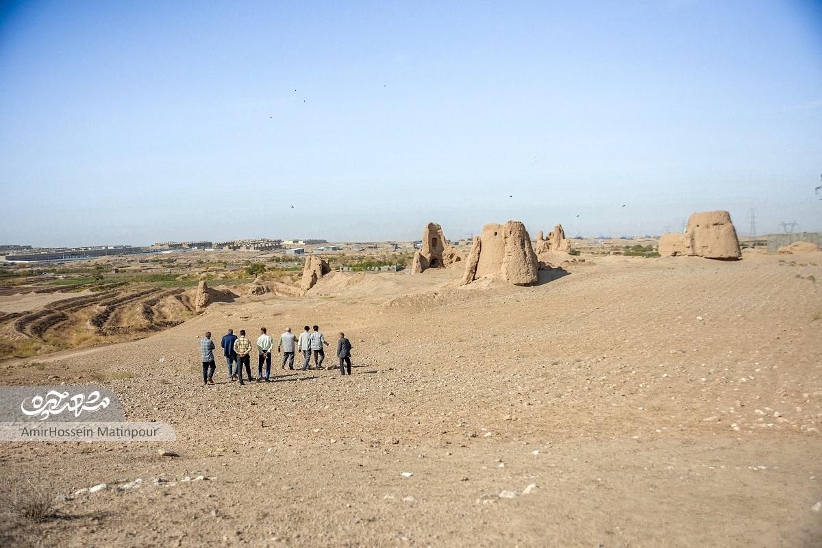 ماجرای «سرطاووس» کرک و پر ریخته ماجرای «سرطاووس» کرک و پر ریخته