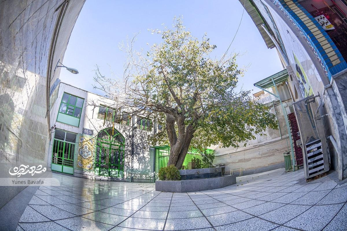 خانه‌های کارمندان راه آهن جای تاکستان را گرفت