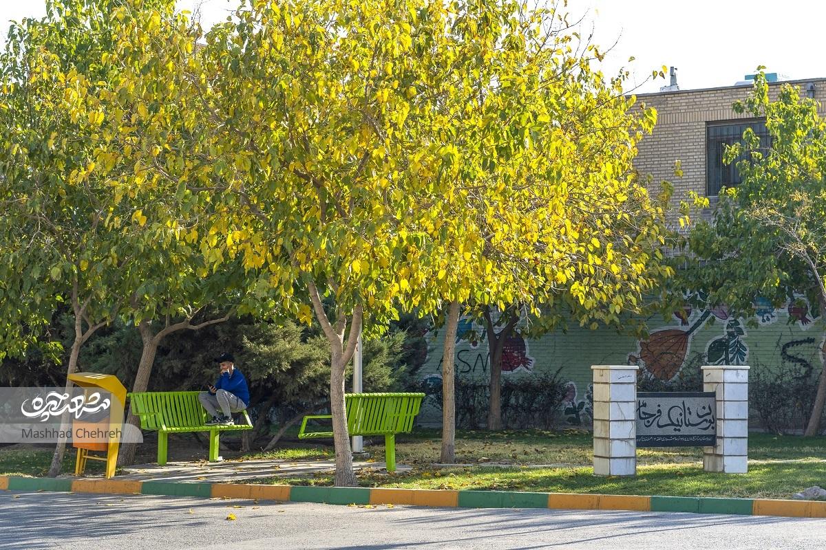 مجموعههای آموزشی در یک خیابان مجموعههای آموزشی در یک خیابان