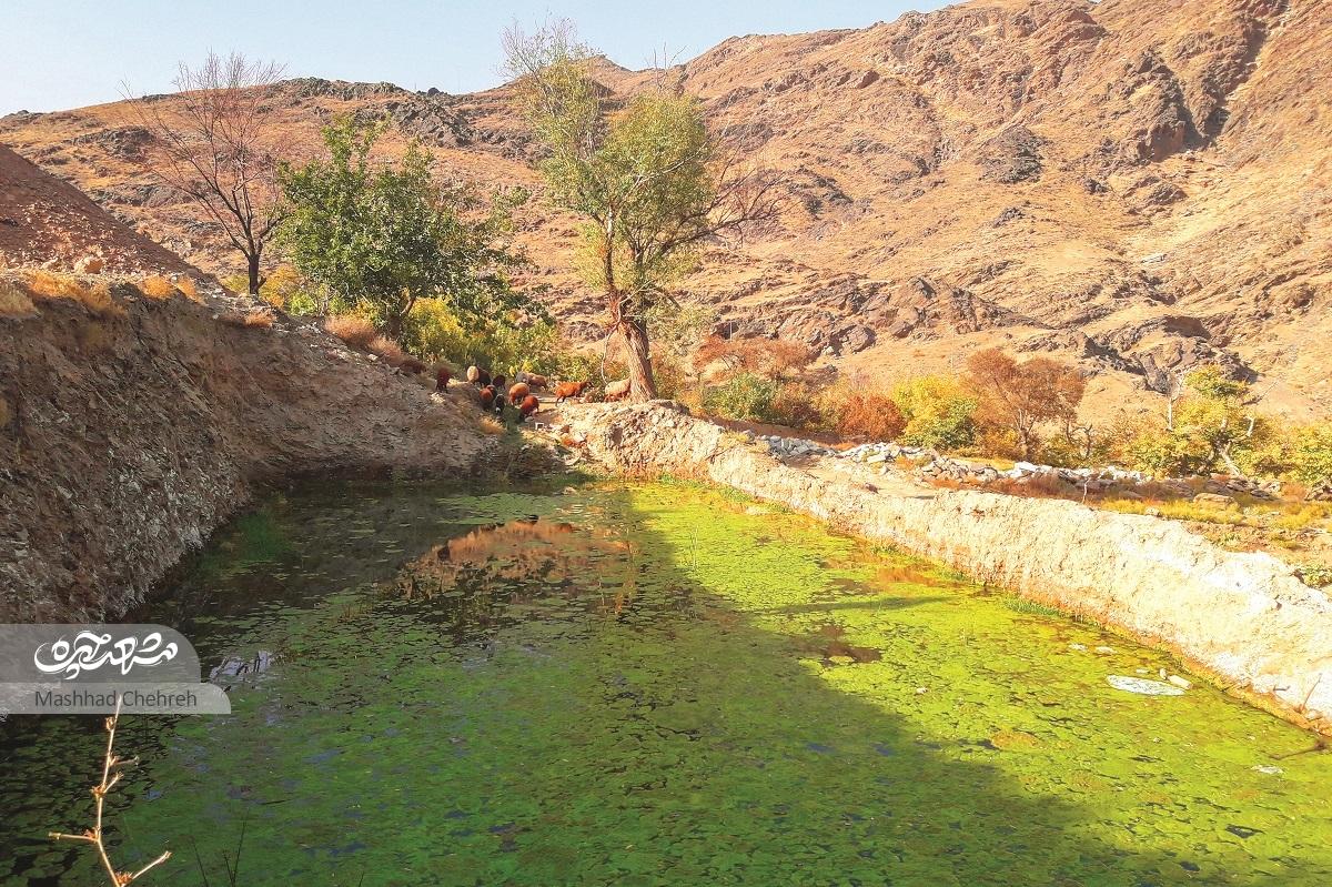 روستای خاله زهرا