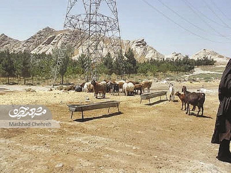 روستای خاله زهرا