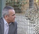 بابای «ارس» چشم حیات وحش خراسان