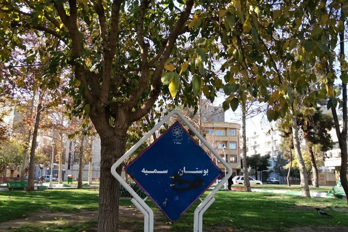 شور زندگی در خیابان سمیه شور زندگی در خیابان سمیه