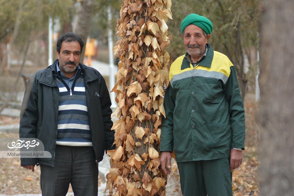 باغ وکیل‌آباد، باقیات و صالحات حاج حسین آقا ملک
