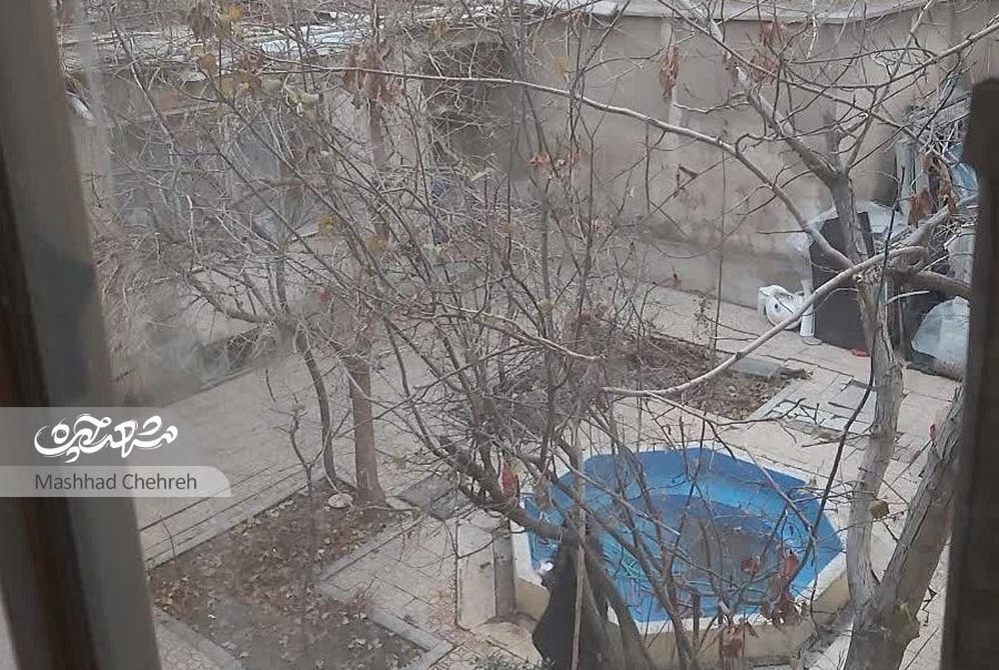 عمارت تاریخی «شکیبا» از نخستین خانههای کوچه جوادیه است عمارت تاریخی «شکیبا» از نخستین خانههای کوچه جوادیه است