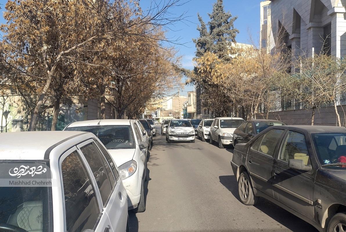 خیابان قائم ۲۸ کوتاه، اما پرتردد خیابان قائم ۲۸ کوتاه، اما پرتردد