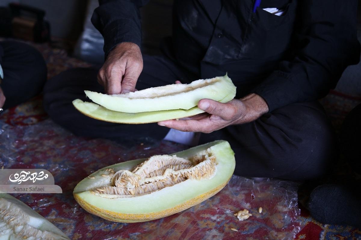 گردشگری روی پوست خربزه گردشگری روی پوست خربزه