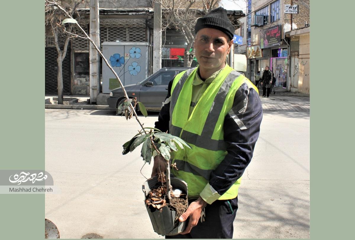 علی ارژندی سالی ۱۰۰ درخت کاشته است