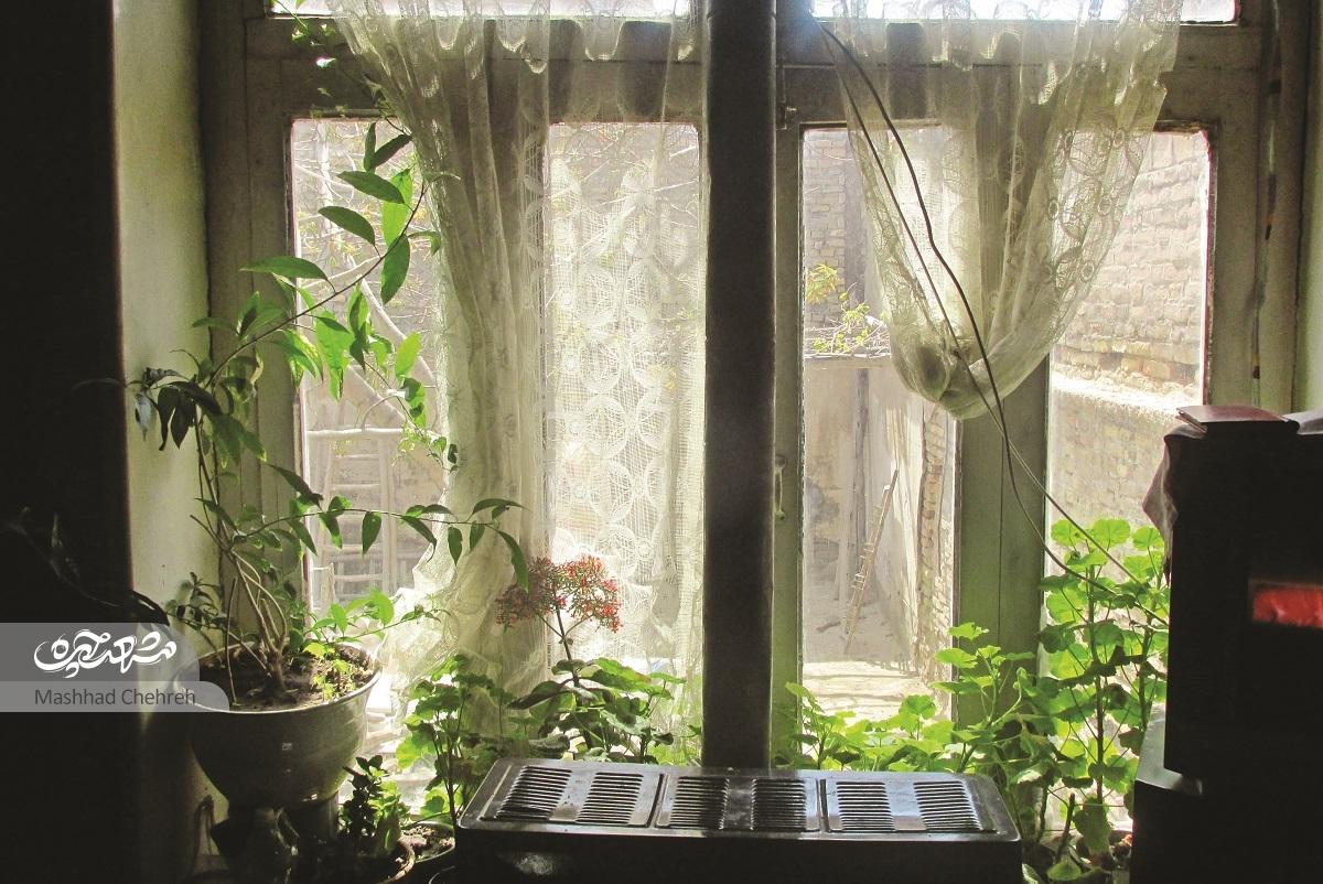 خانهِ جُنبان خیابان توحید مشهد خانهِ جُنبان خیابان توحید مشهد