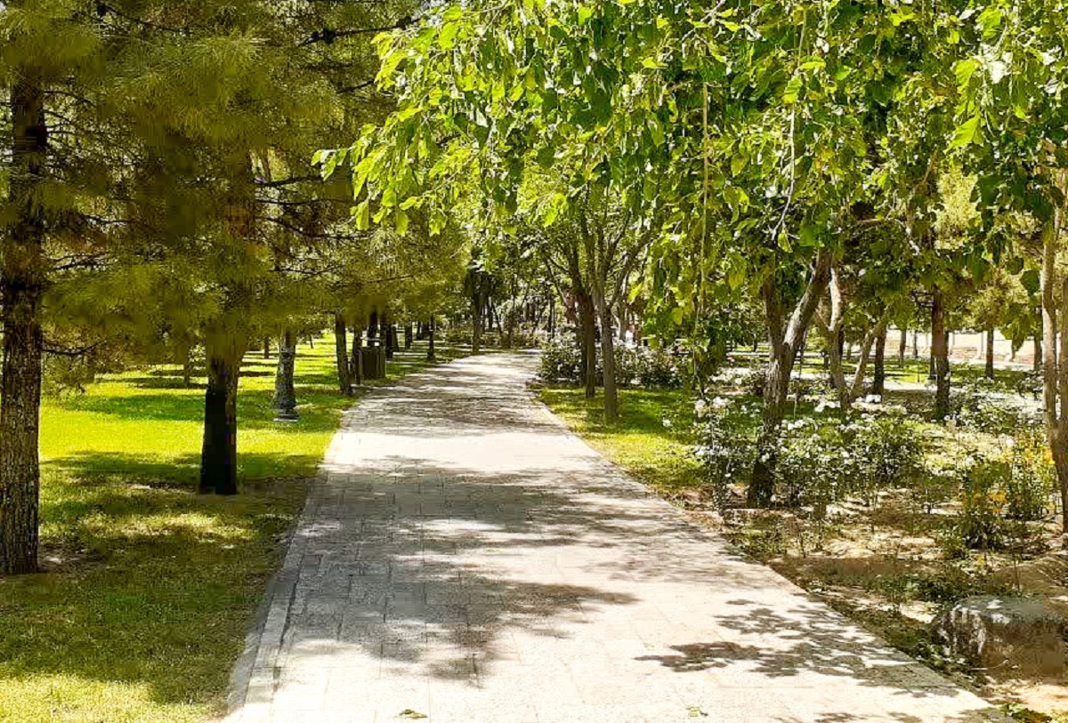 جای خالی سوپری و نانوایی در دلاوران ۱۳