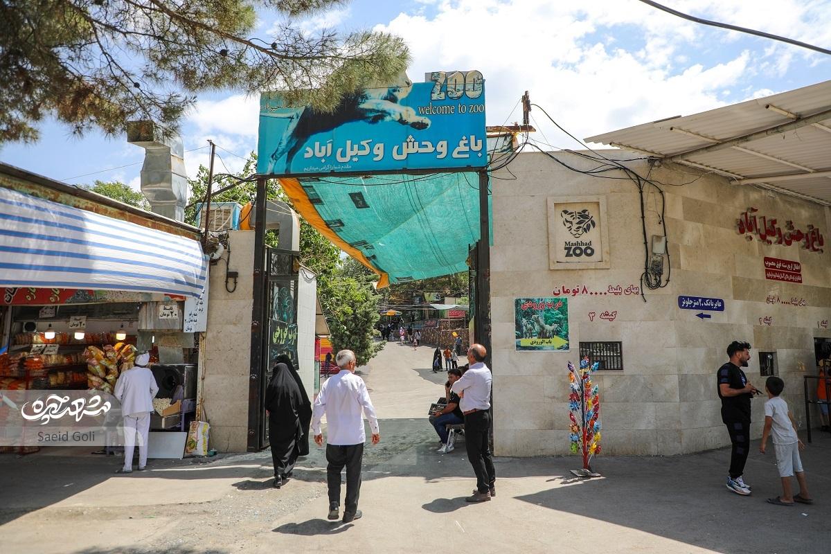 درباره وضعیت باغ‌وحش مشهد که نمای بیرونی‌اش خوشایند نیست