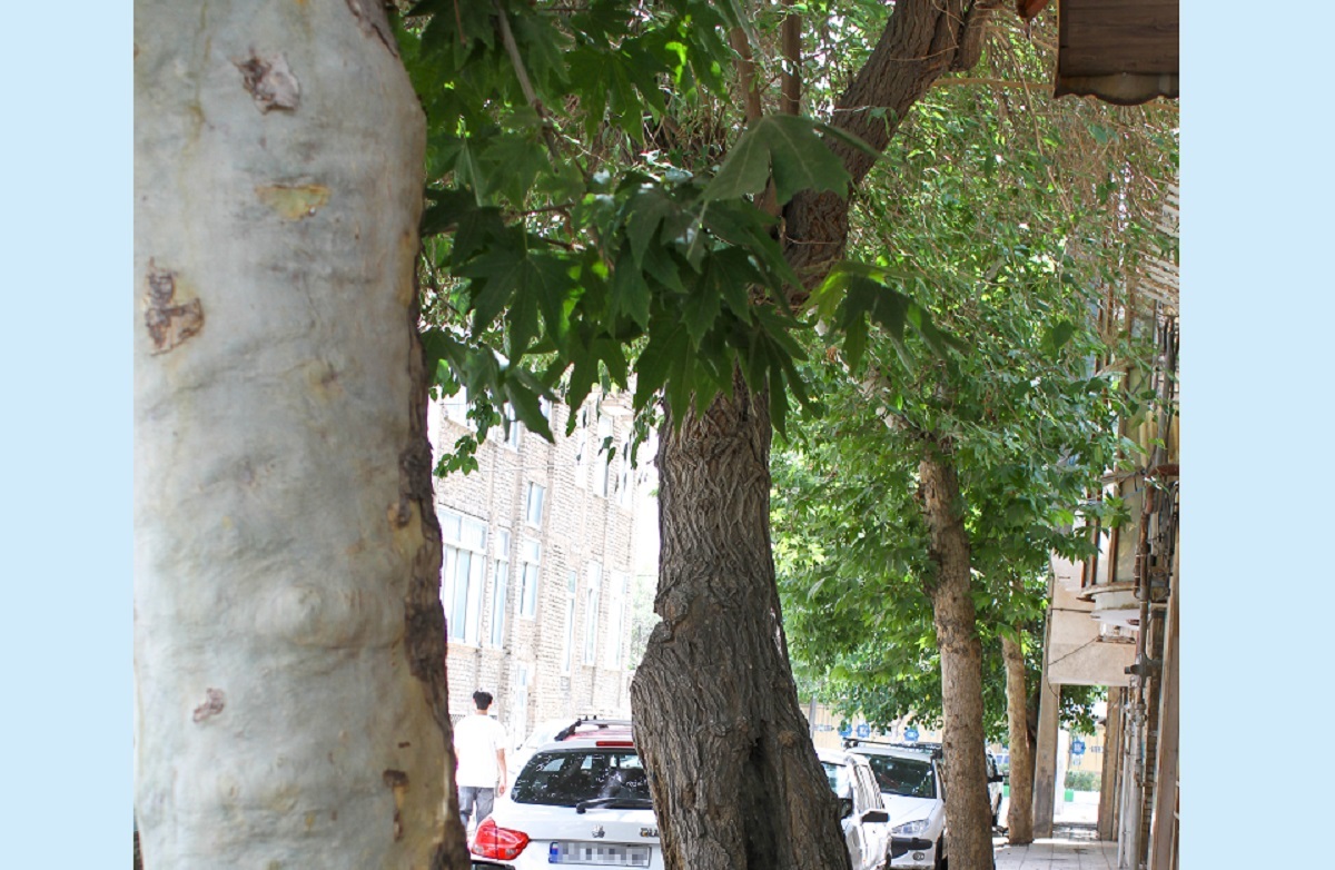 چهارده کوچه یکمتری در میلان چهاردهم چهارده کوچه یکمتری در میلان چهاردهم