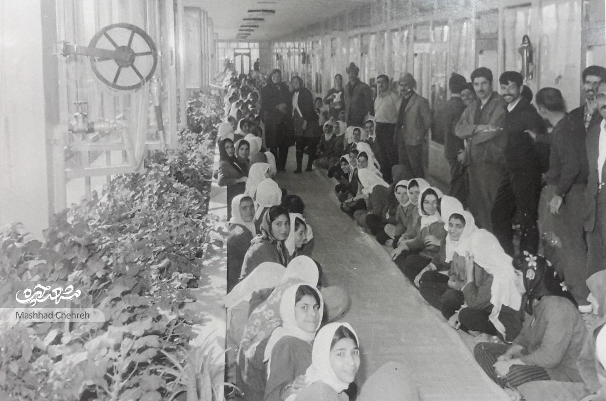 کارخانه نخریسی، غول ازپاافتاده صنعت و برق مشهد کارخانه نخریسی، غول ازپاافتاده صنعت و برق مشهد