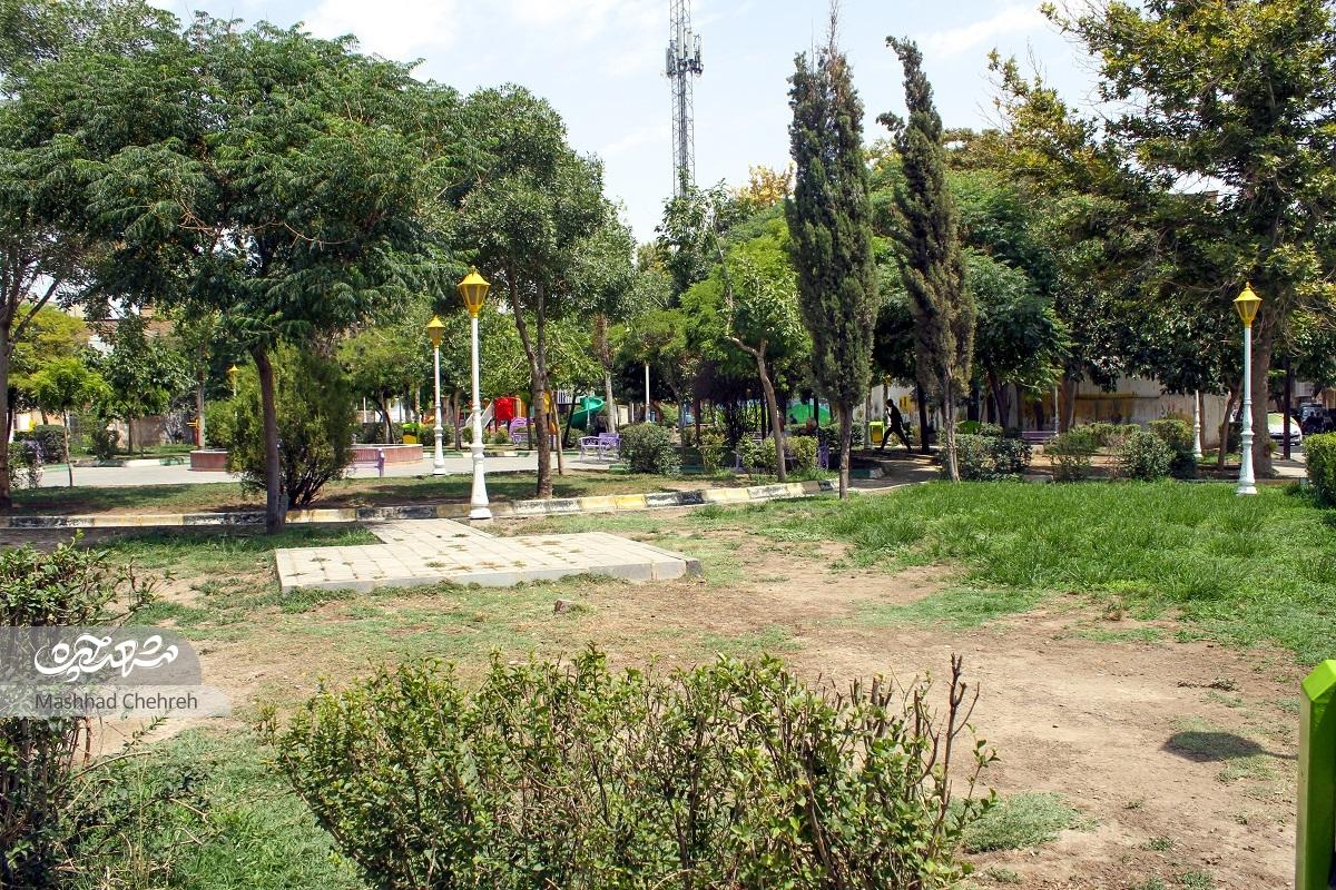 میزبان «روضه محله» میزبان «روضه محله»