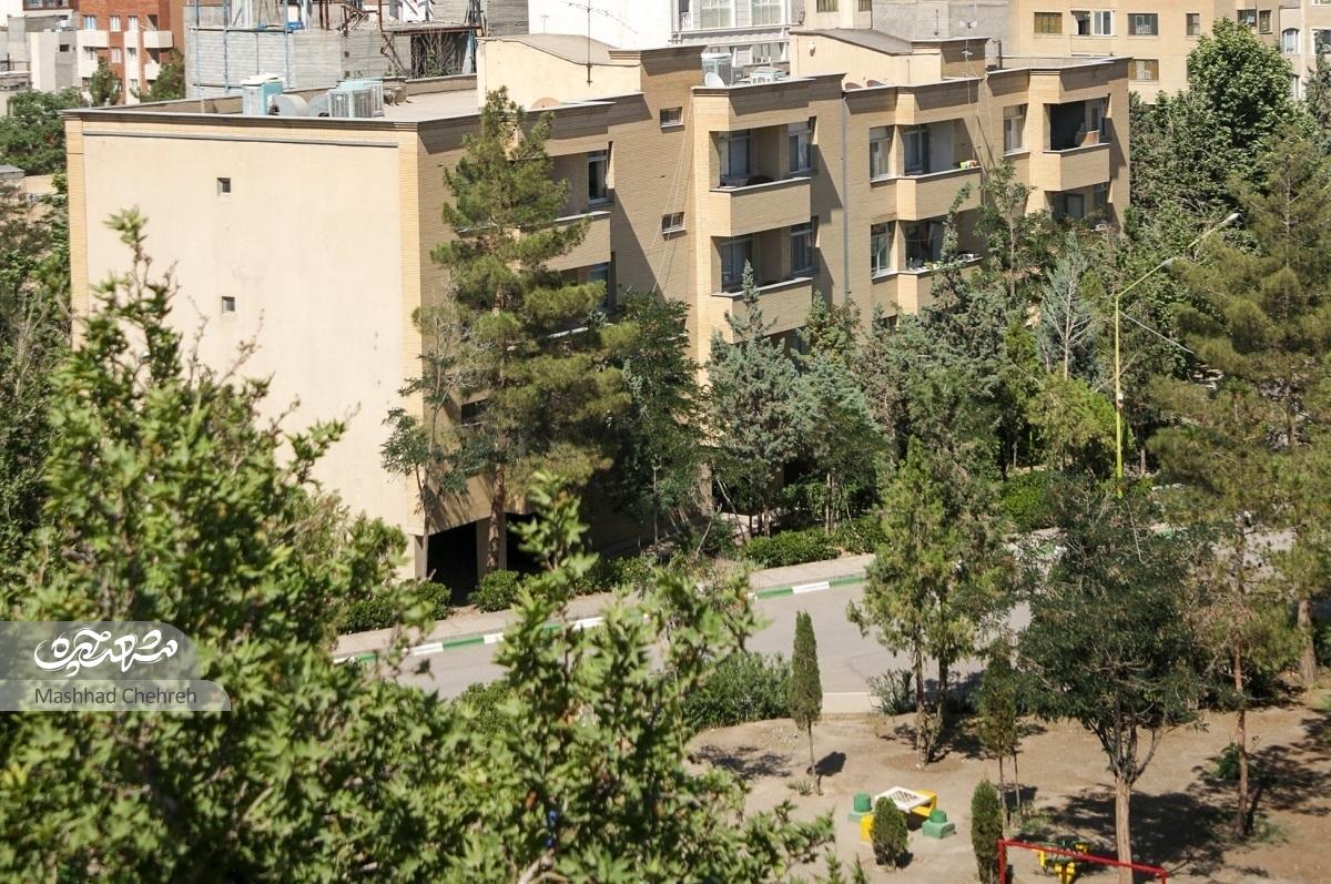 محله گلدیس