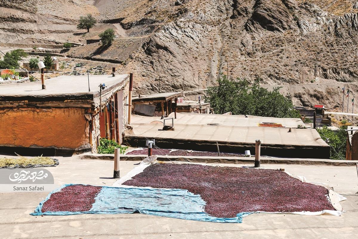 سفر به روستای «پایه» درهای سرسبز و خنک در ۶۸کیلومتری مشهد سفر به روستای «پایه» درهای سرسبز و خنک در ۶۸کیلومتری مشهد