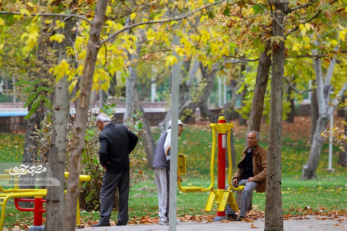 پارک ملت ساخته دست ایرانی هاست و انگلیسی ها نقشی نداشتند پارک ملت ساخته دست ایرانی هاست و انگلیسی ها نقشی نداشتند