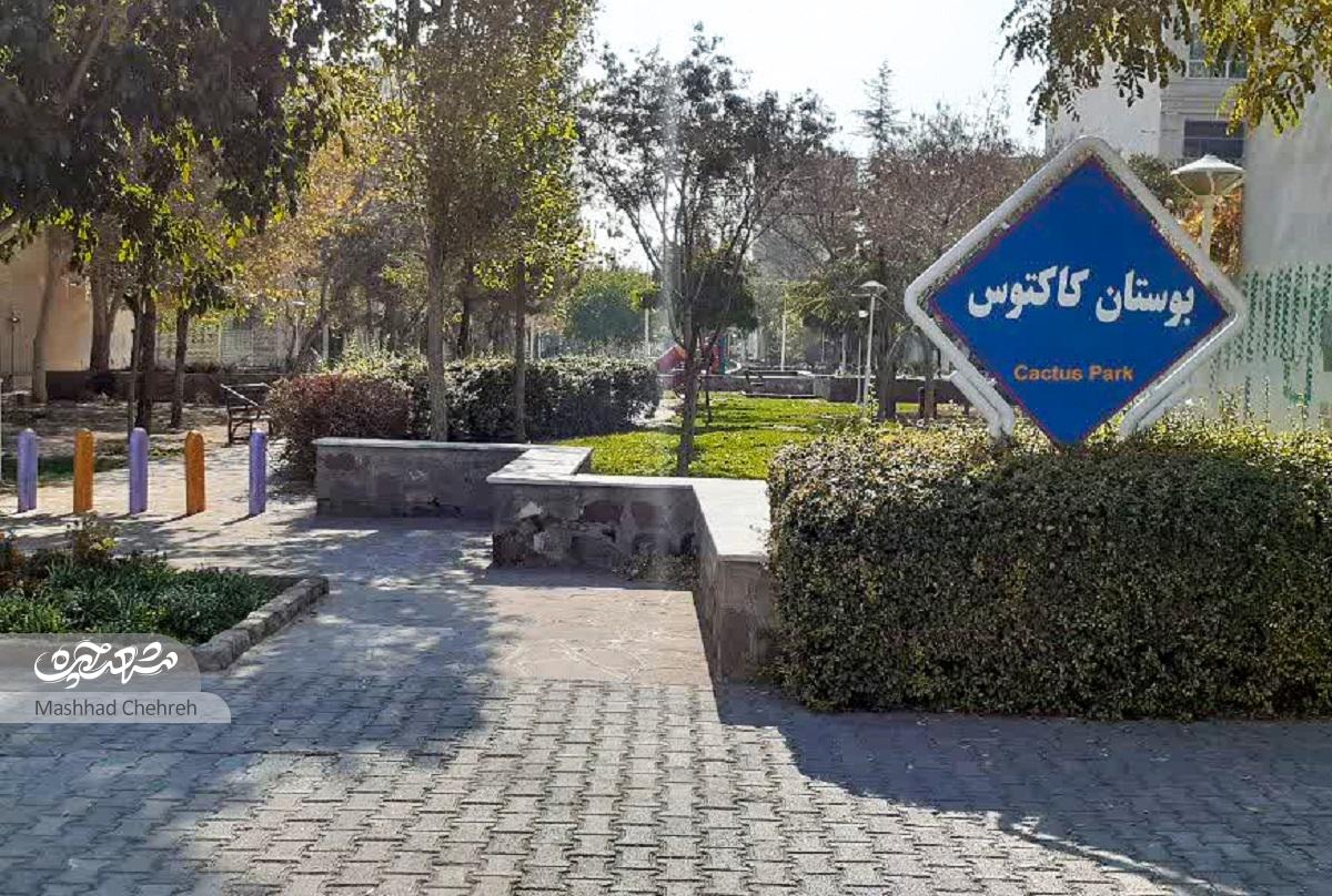 کوچه مدرسه‌ها