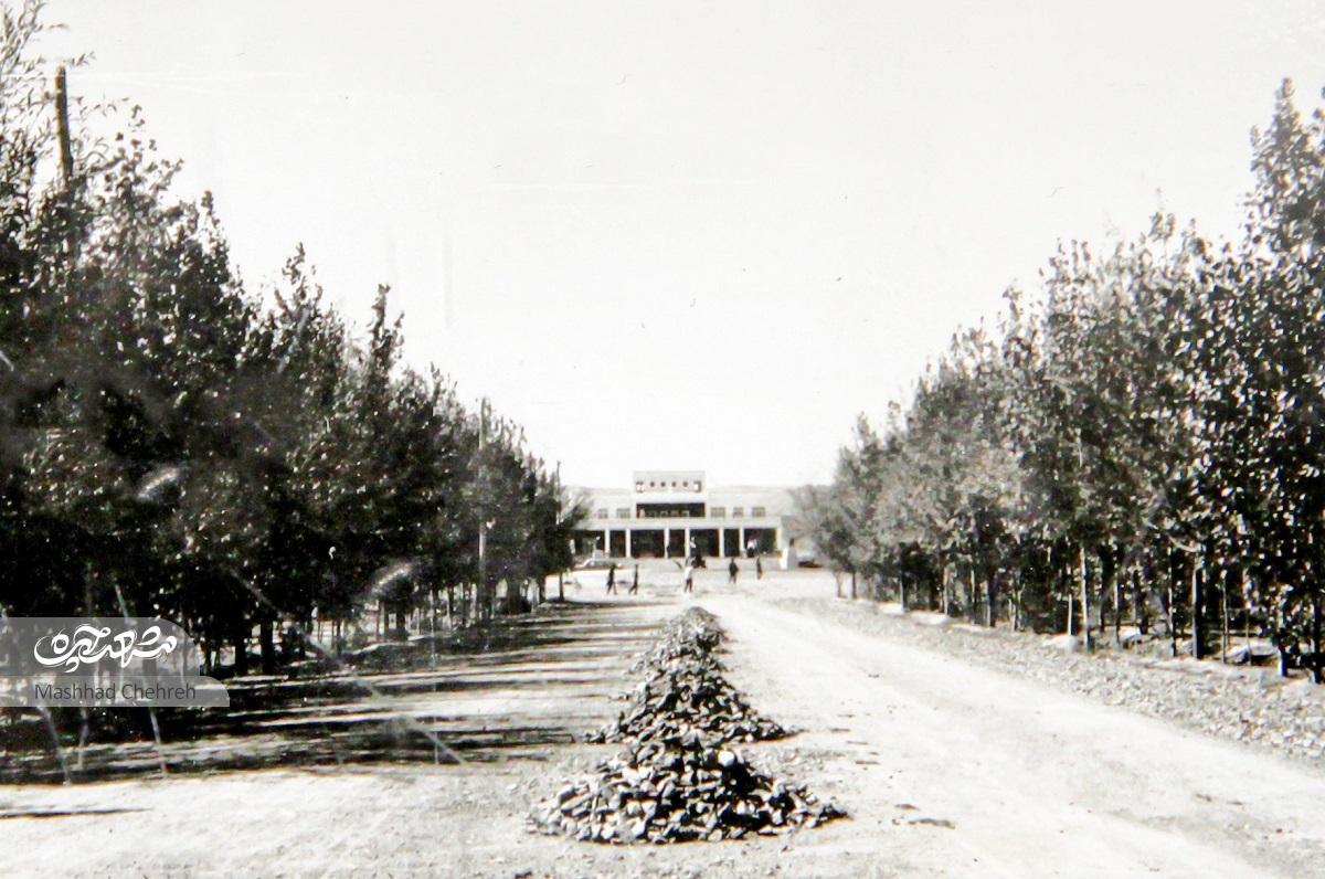 کوهسنگی از زیباترین خیابانهای مشهد که نودسالگی را پشت سر میگذارد کوهسنگی از زیباترین خیابانهای مشهد که نودسالگی را پشت سر میگذارد