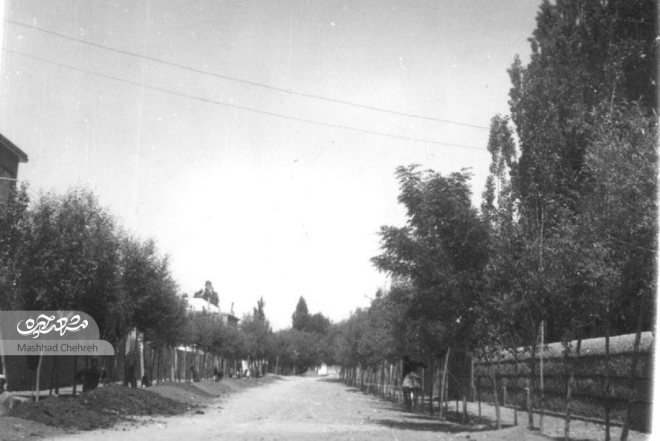 خیابان کوهسنگی مشهد نودسالگی را پشت سر میگذارد خیابان کوهسنگی مشهد نودسالگی را پشت سر میگذارد