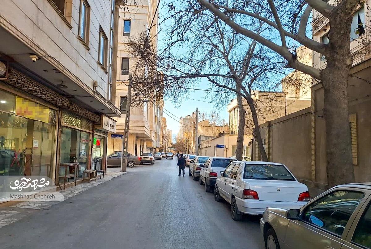 سی‌متری بهار دیروز، دارخوین امروز