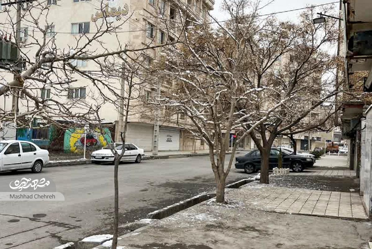 سیدمصطفی مصطفوی؛ معلم قرآن اقدسیه سیدمصطفی مصطفوی؛ معلم قرآن اقدسیه