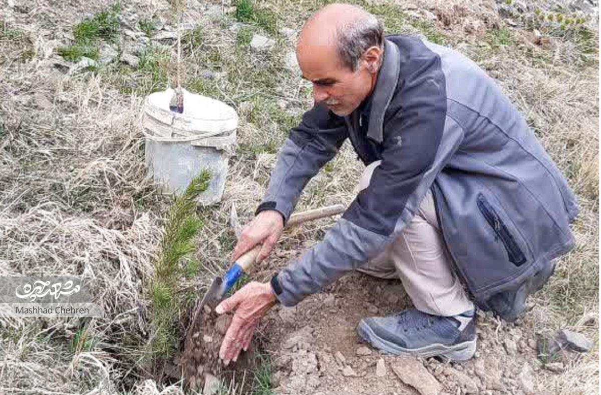 ایده سبز محمدرضا کیانینسب برای درختکاری در کوهپارک ایده سبز محمدرضا کیانینسب برای درختکاری در کوهپارک
