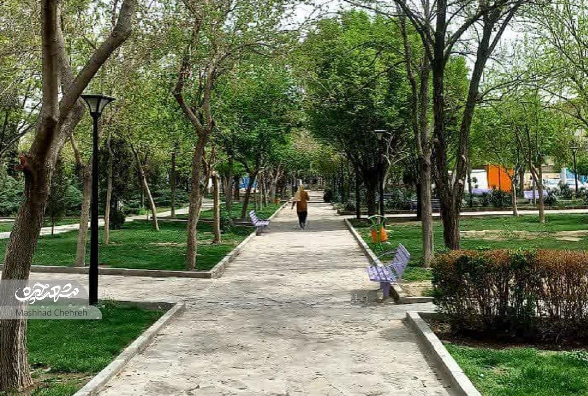 کوچه مدرسهها در محله عباسآباد کوچه مدرسهها در محله عباسآباد