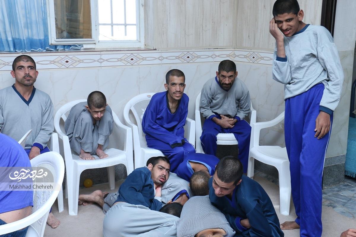 معلولانی که «پناهندگان ضامن آهو» شدند