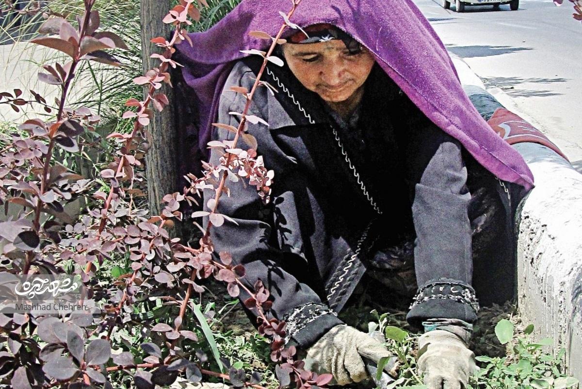 سرسبزی بولوار مجلسی کار دست بانوان است سرسبزی بولوار مجلسی کار دست بانوان است
