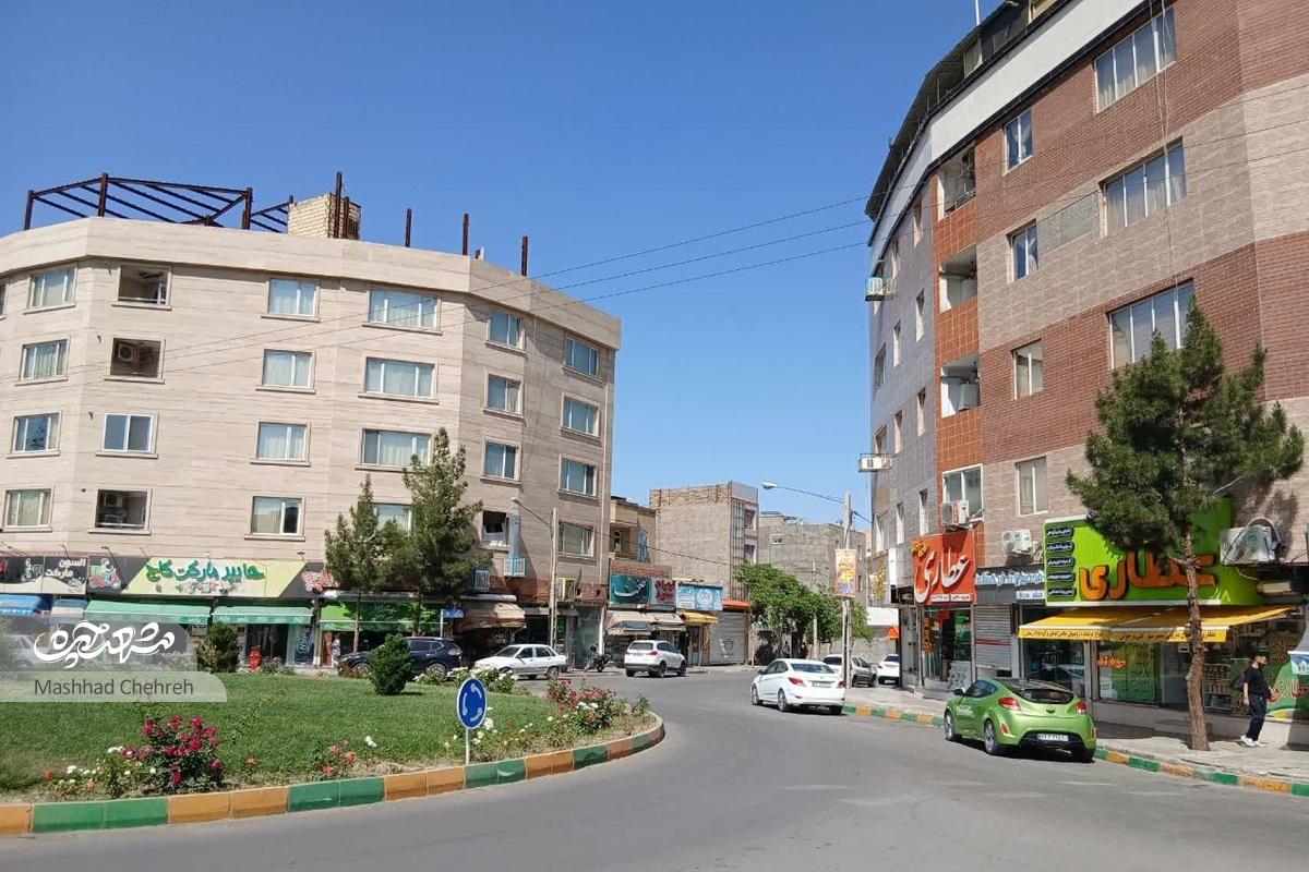 جمع درختان در کوچه ایثارگران جمع درختان در کوچه ایثارگران