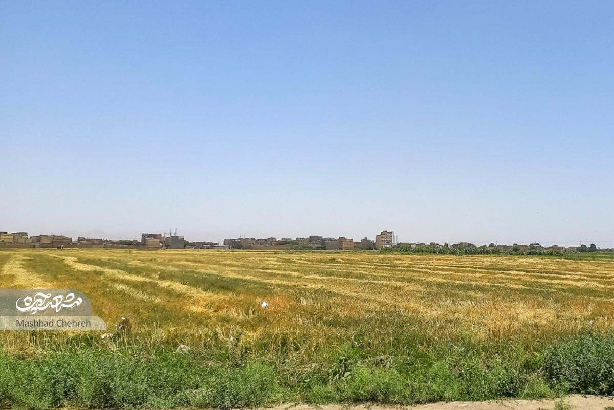 کوچهای با هویت روستایی در دل محله کوچهای با هویت روستایی در دل محله