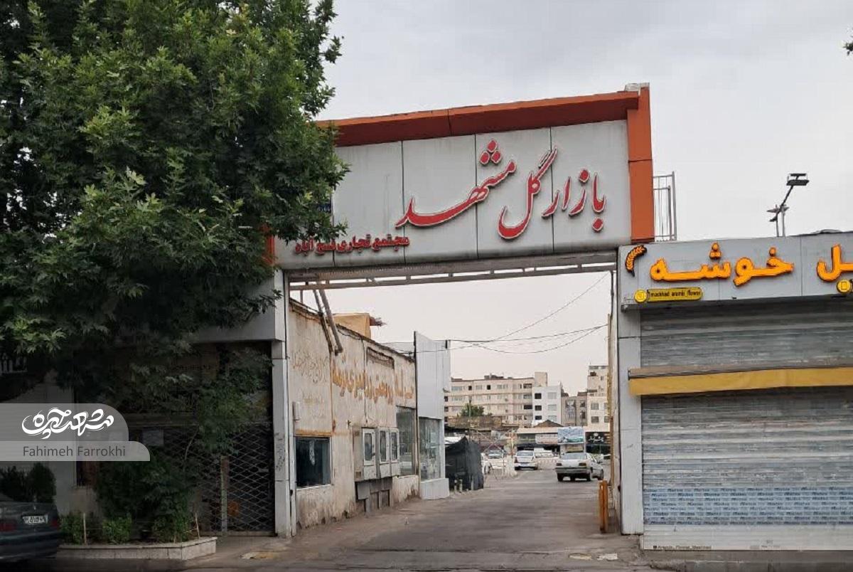 معبری با بوی گل‌ها در خیام‌شمالی ۴۰
