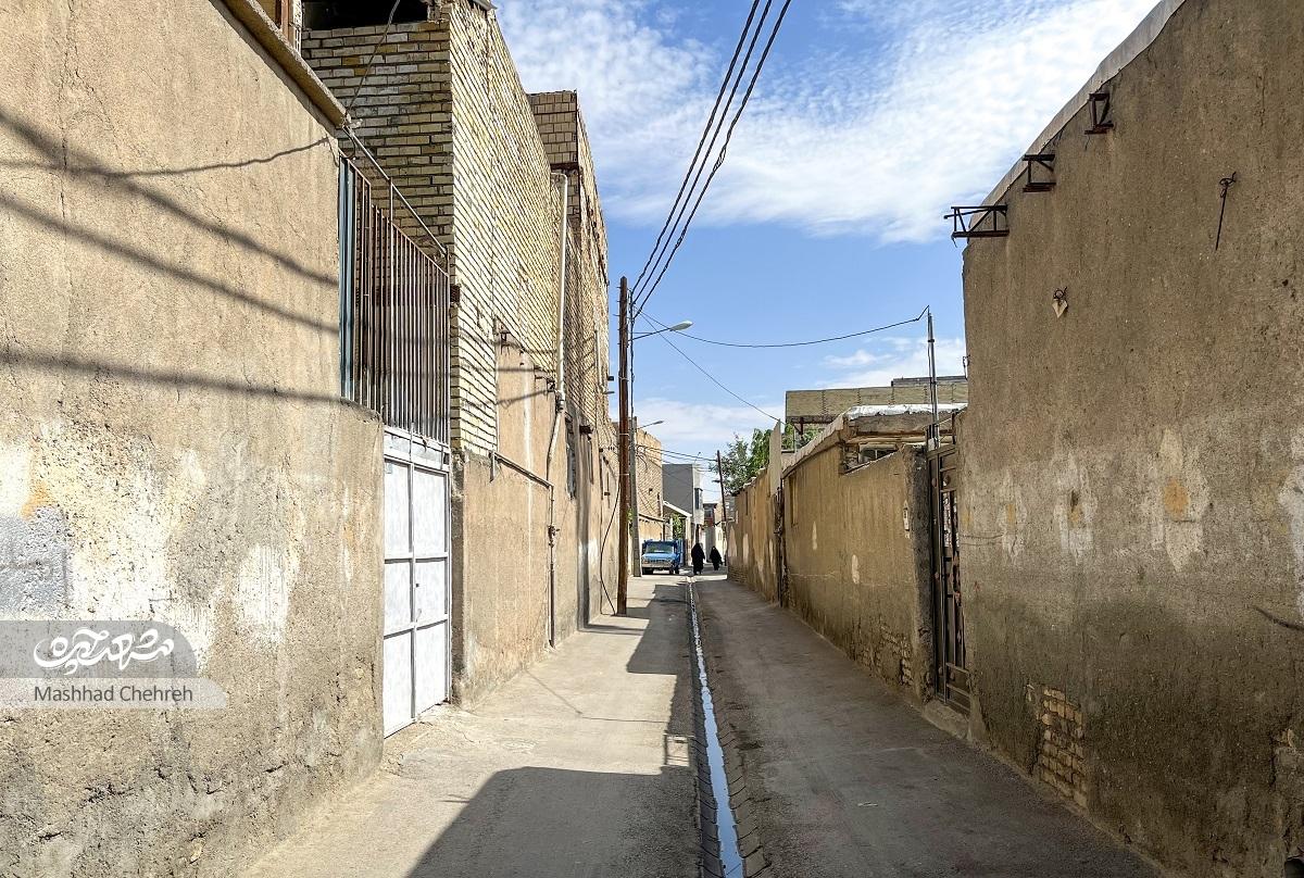 تماشای «کانی‌مانگا» در سینمای خاکی به روایت جواد کریمی