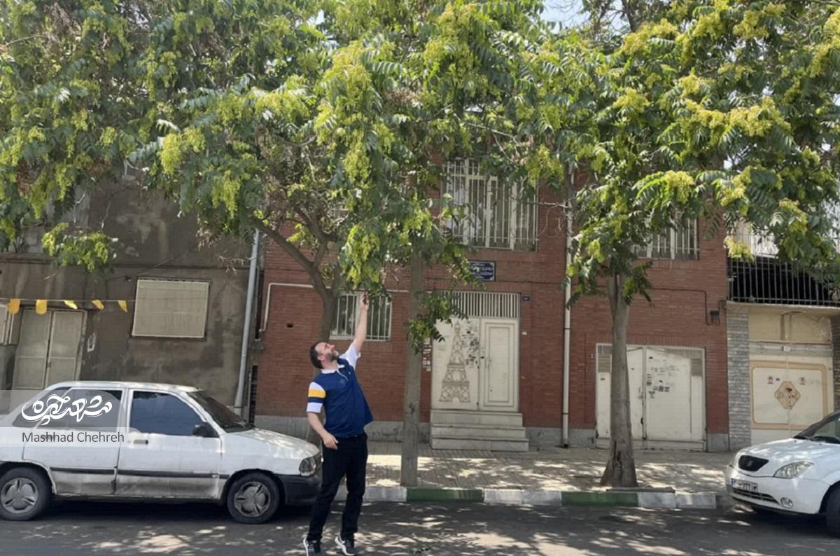 با حمید معصومیان در کوچههای تودرتوی خیابان افسر قدم زدیم و خاطراتش را مرور کردیمستون زرد ، نشانی یدا... شکستهبند بود با حمید معصومیان در کوچههای تودرتوی خیابان افسر قدم زدیم و خاطراتش را مرور کردیمستون زرد ، نشانی یدا... شکستهبند بود
