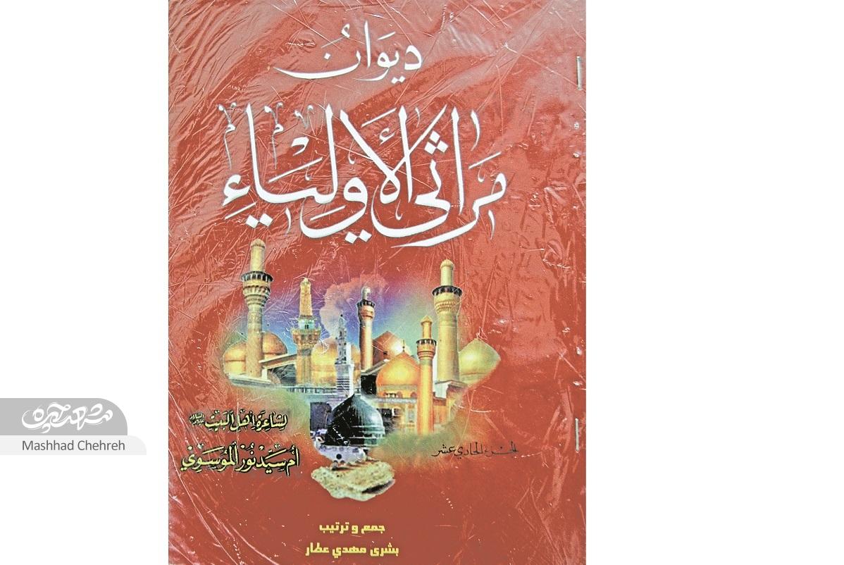مرثیه «اَمنوری»؛ مادری که در فراغ فرزند شاعر شد مرثیه «اَمنوری»؛ مادری که در فراغ فرزند شاعر شد